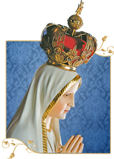 fe
