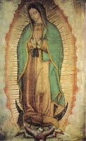 guadalupe4