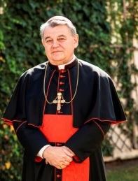Cardeal Dominik Duka, Arcebispo de Praga