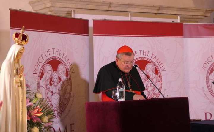 Cardeal Burke em conferência sobre Fátima.
