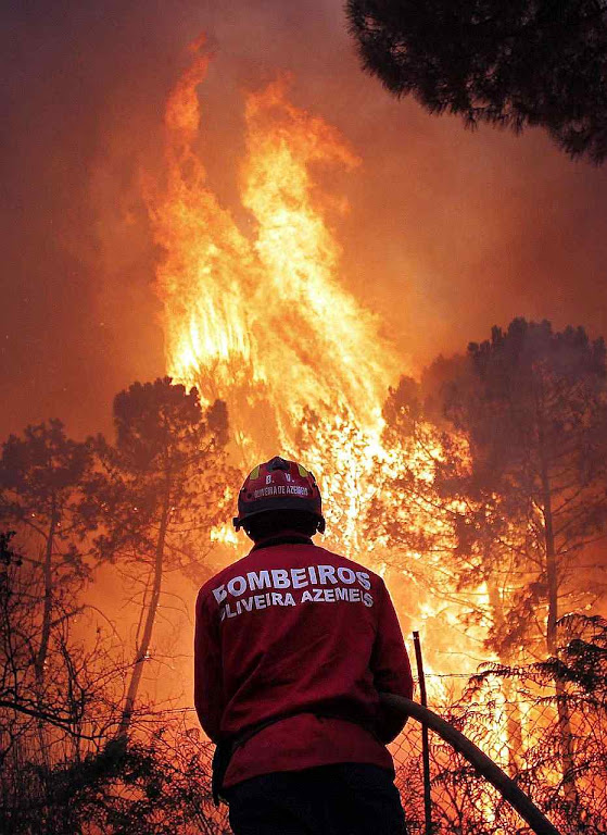 Bombeiro combate incêndio em floresta de Portugal.