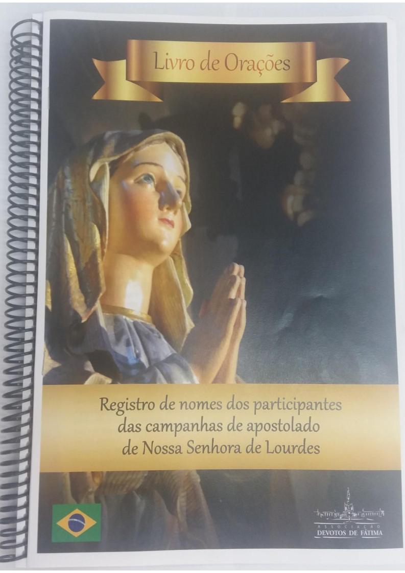 Livro Campanha de Lourdes