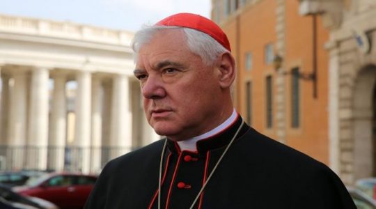 Cardeal Gerhard Ludwig Muller