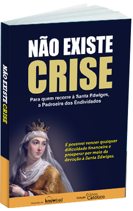 mockup_nao_existe_crise