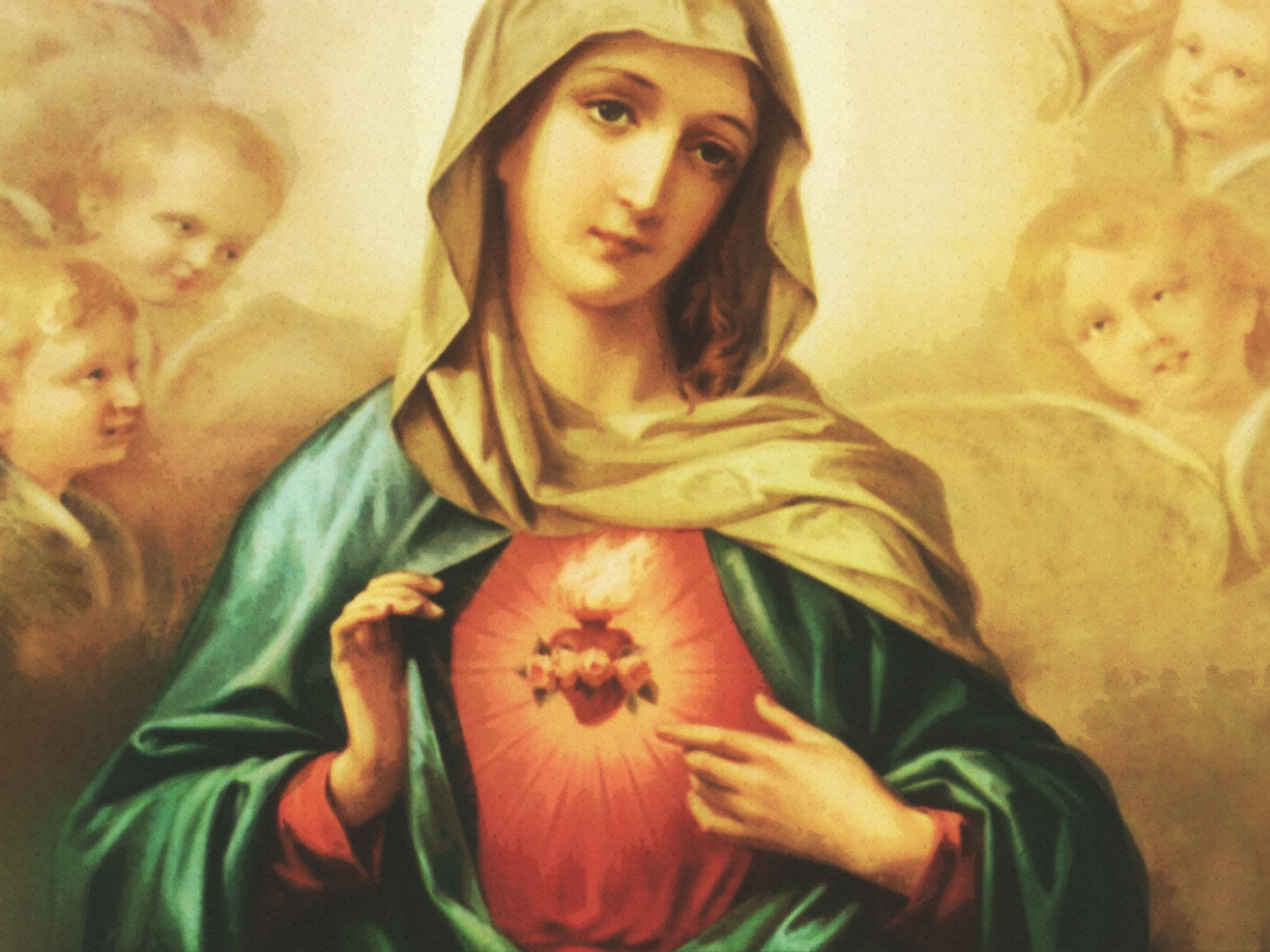 IMaculado Coração de Maria - Festa Coração de Maria