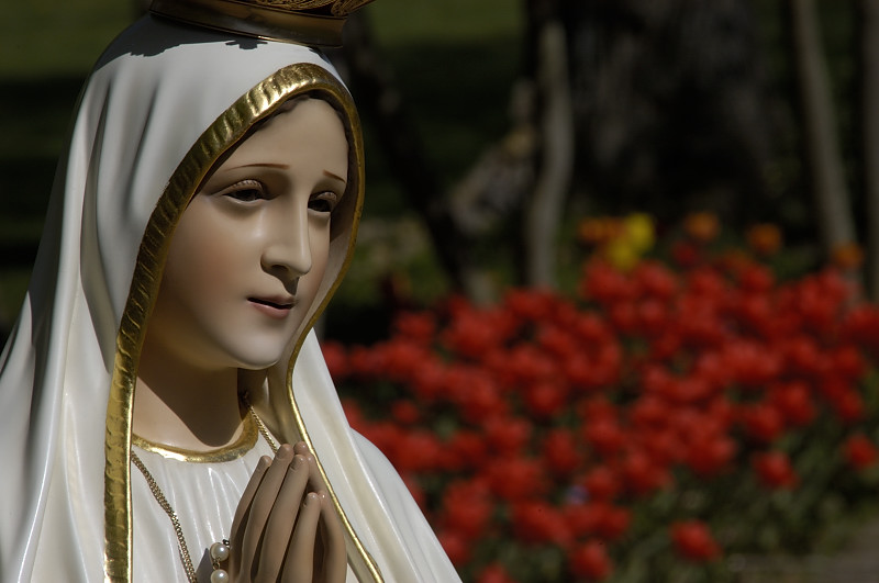 Nossa Senhora de Fátima - Milagre